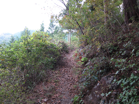 20191031hike (319)